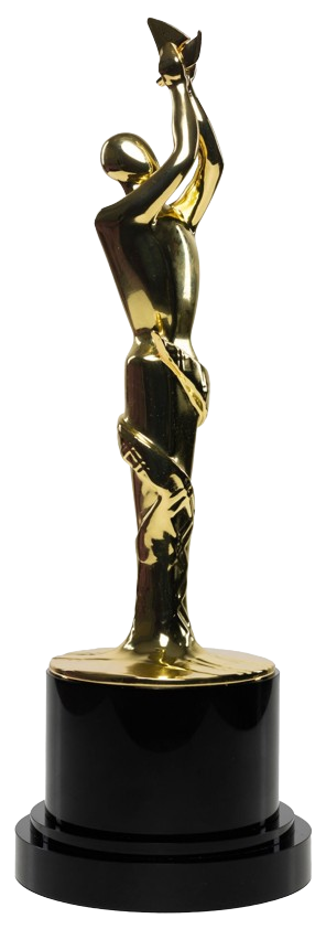 VICON Trophy