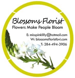 Blossoms Logo 2019